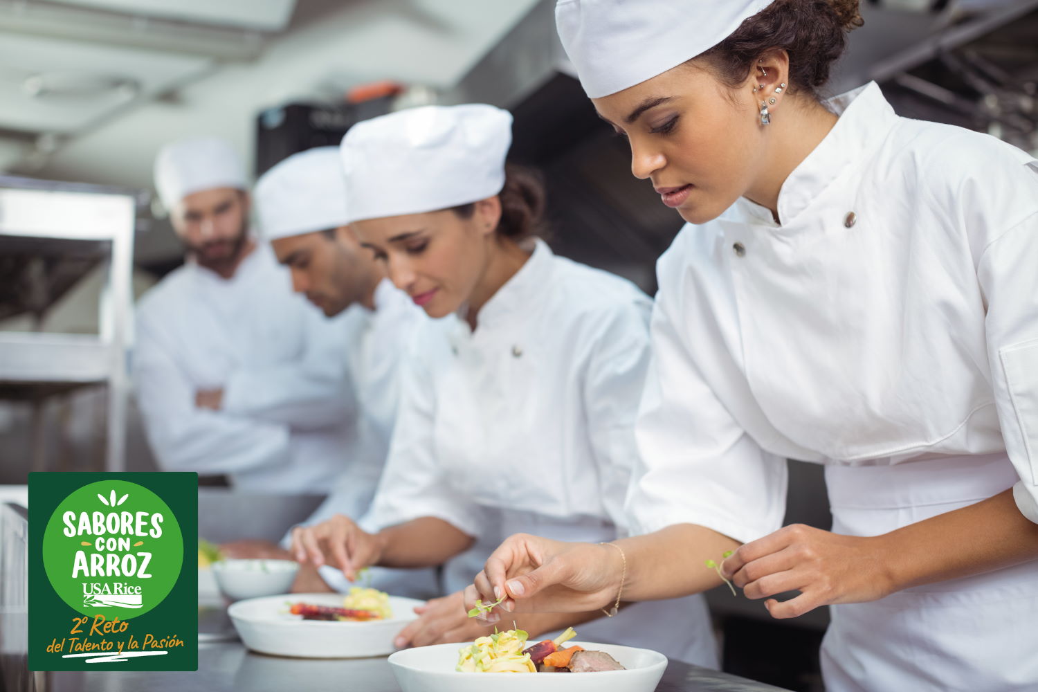 Grupo de chefs preparando platos